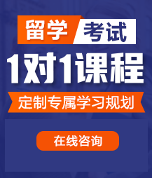 操小逼、吃鸡巴视频留学考试一对一精品课